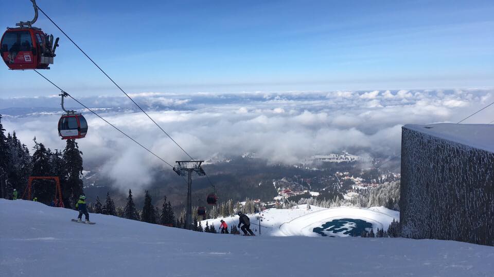 Picture of DECOLARE POSTAVARU